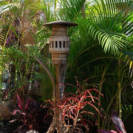 Bamboo Suite, 1 Bedroom, Sleeps 4, Pool & Bbq, Pre-Renovation Summer Sale Kihei Εξωτερικό φωτογραφία